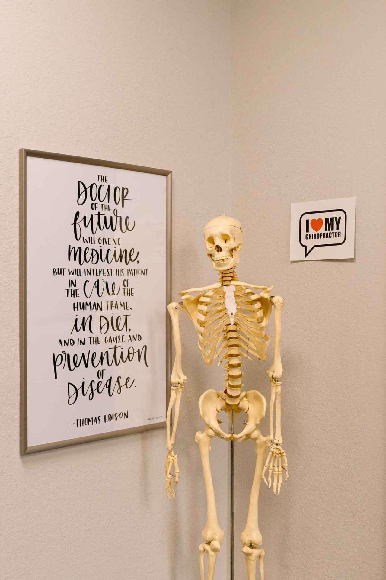 Educational poster and anatomical skeleton model in chiropractic office