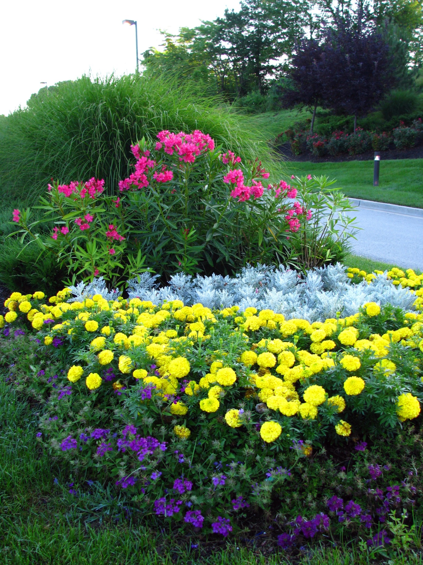 Olathe chiropractor Dr. Meylor providing spinal adjustment for pain relief